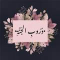 ❀• دُرُوبِٓ الـجَنّـــة •❀