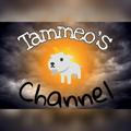 Tammeo's Channel