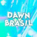 DAWN BRASIL #STUPIDCOOL