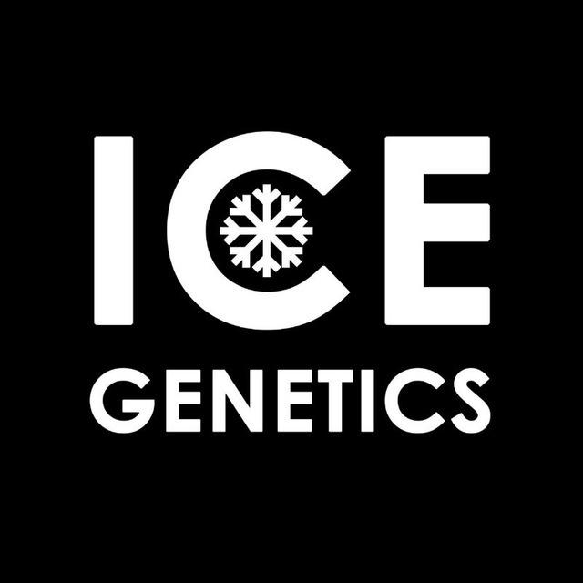 @icegrow - ЗАЛЕТАЙ НА НОВЫЙ КАНАЛ, ИЩИ В ПОИСКОВИКЕ !!