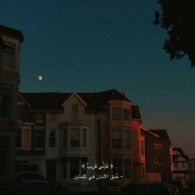 الـوتـر ♡.