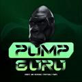 PUMP GURU - BSC Honest Pumps