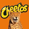 Bag of cheetos 🐆