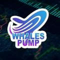 Big Pump🚀 Crypto Whales Signals