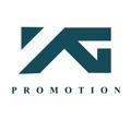 YG promotion