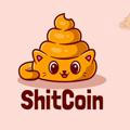 Shit coin