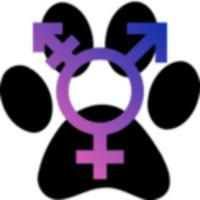 Furry Intersex & Trans
