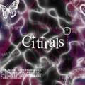 CiTiRALs OPEN ✧