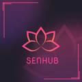 SenHub | Channel