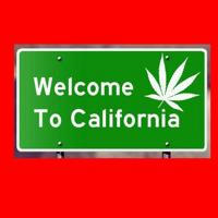 Cannabis California