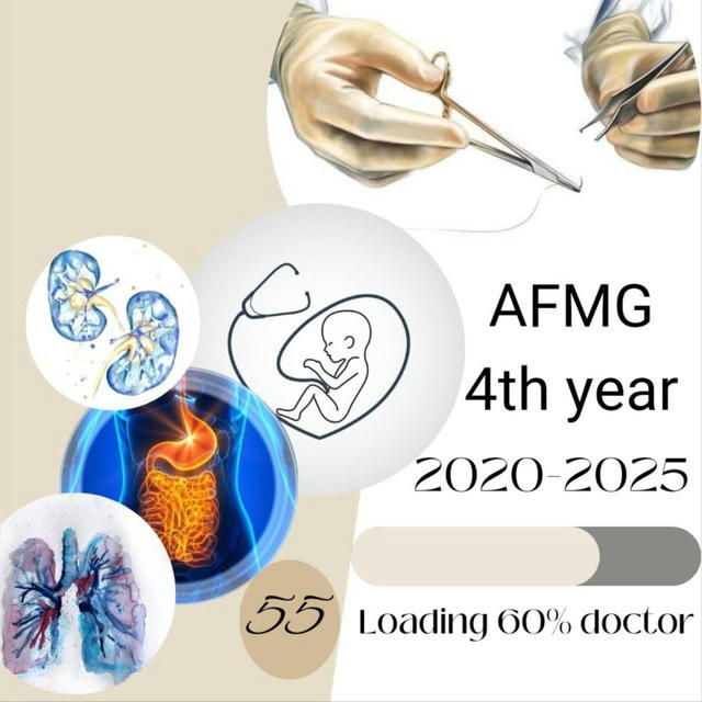 4th year ( AFMG) 2020/2025