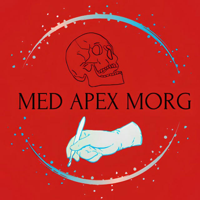 Morg (Autopsiya) Med apex