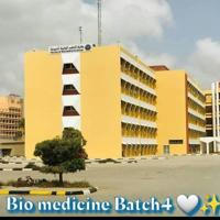 Bio medicine Batch4