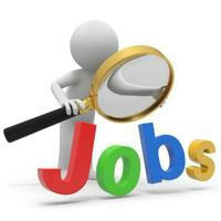 Namibian Job Opportunities, Internships, Job Attachment, Apprenticeship, Bids & Tenders 🇳🇦