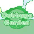 Cabbage Garden : OPEN PROMO