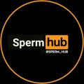 اسپرم هاب | Sperm Hub