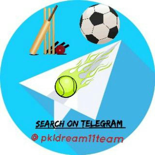 IPL Dream11 team