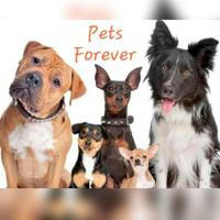 Pets Forever