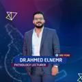 El-Nemr Pathology | 3rd year.