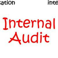 Ala’ Abu Naba’a - Internal Audit