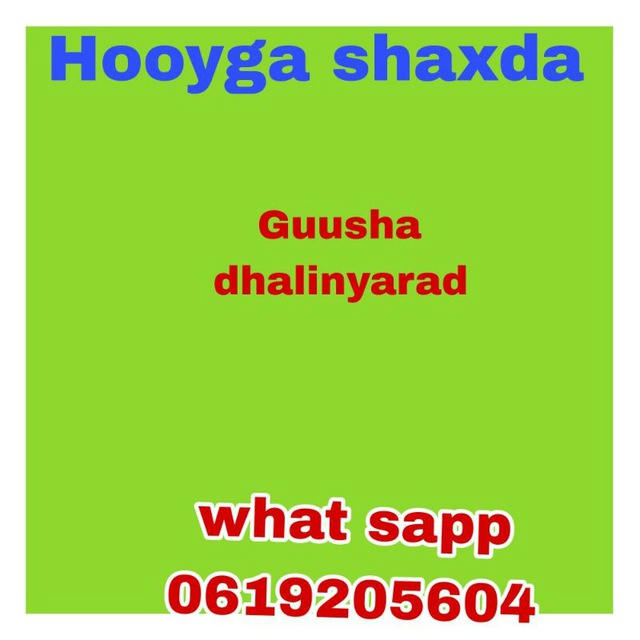 HOOYGA SHASHDA1