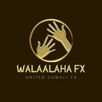 Hiil Walaalahafx