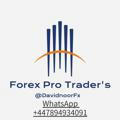 FOREX PRO TRADERS
