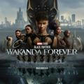 Black Panther Wakanda Forever (2022)