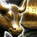 The Crypto Bulls