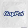 GayPal