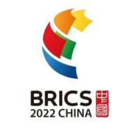 BRICSology