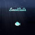 SmolCalls - No Paid Calls.