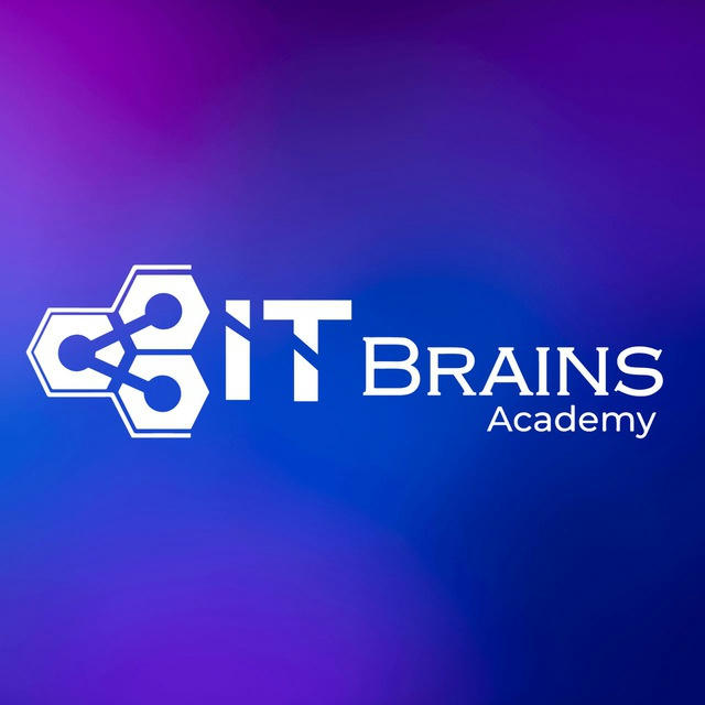 IT Brains Academy