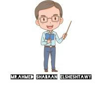 Mr.Ahmed Shabaan Elsheshtawy