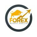 📶 Forex Bull Trading 🔰™
