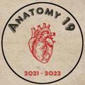 Anatomy19