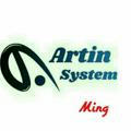 artin system