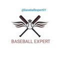 Baseball Expert