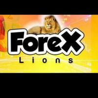Ahmed sallam signal (Forex lions)💵🏹