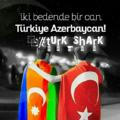 turk_shark