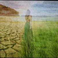 AWAKE - Catharina Roland - LIVING EARTH 🌺