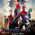 Spiderman No Home & HD HOLLYWOOD Punjabi Movies