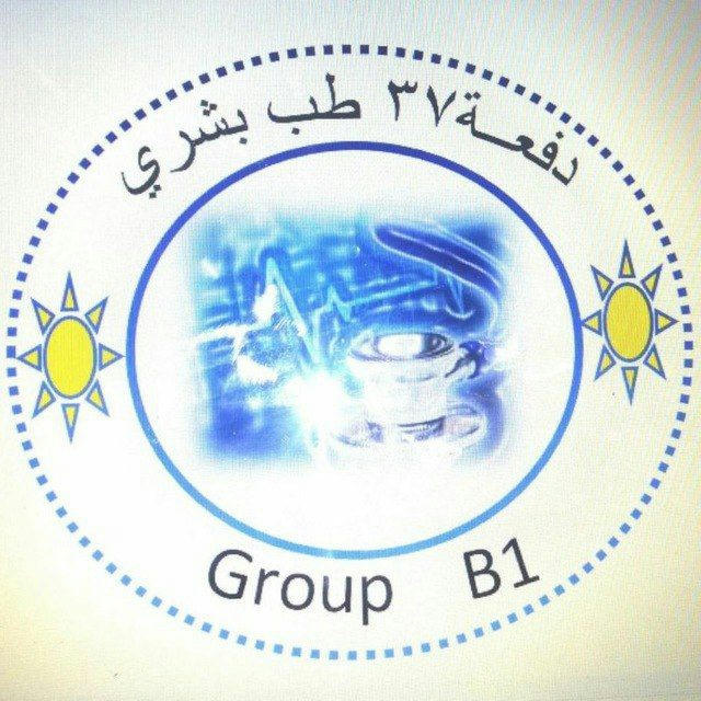 Group 37B1| 4th year عملي