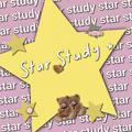 ⍈ 〃🐰 Stars Study ∩⑅∩ 甲 ｡