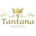 TANTANA AGENTLIGI