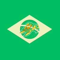 Turtle Cripto 🇧🇷🇵🇹Channel