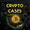 Crypto Cases