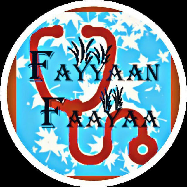 Fayyan Faaya official