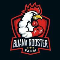 OFFICIAL BUANA ROOSTER