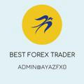 Best Forex Trader
